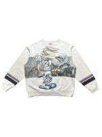 Lade das Bild in den Galerie-Viewer, Y2K WILE E. COYOTE GRAPHIC SWEATER (XXL)
