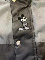 Lade das Bild in den Galerie-Viewer, DISNEY LIMITED EDITION WINTERJACKE (XL)
