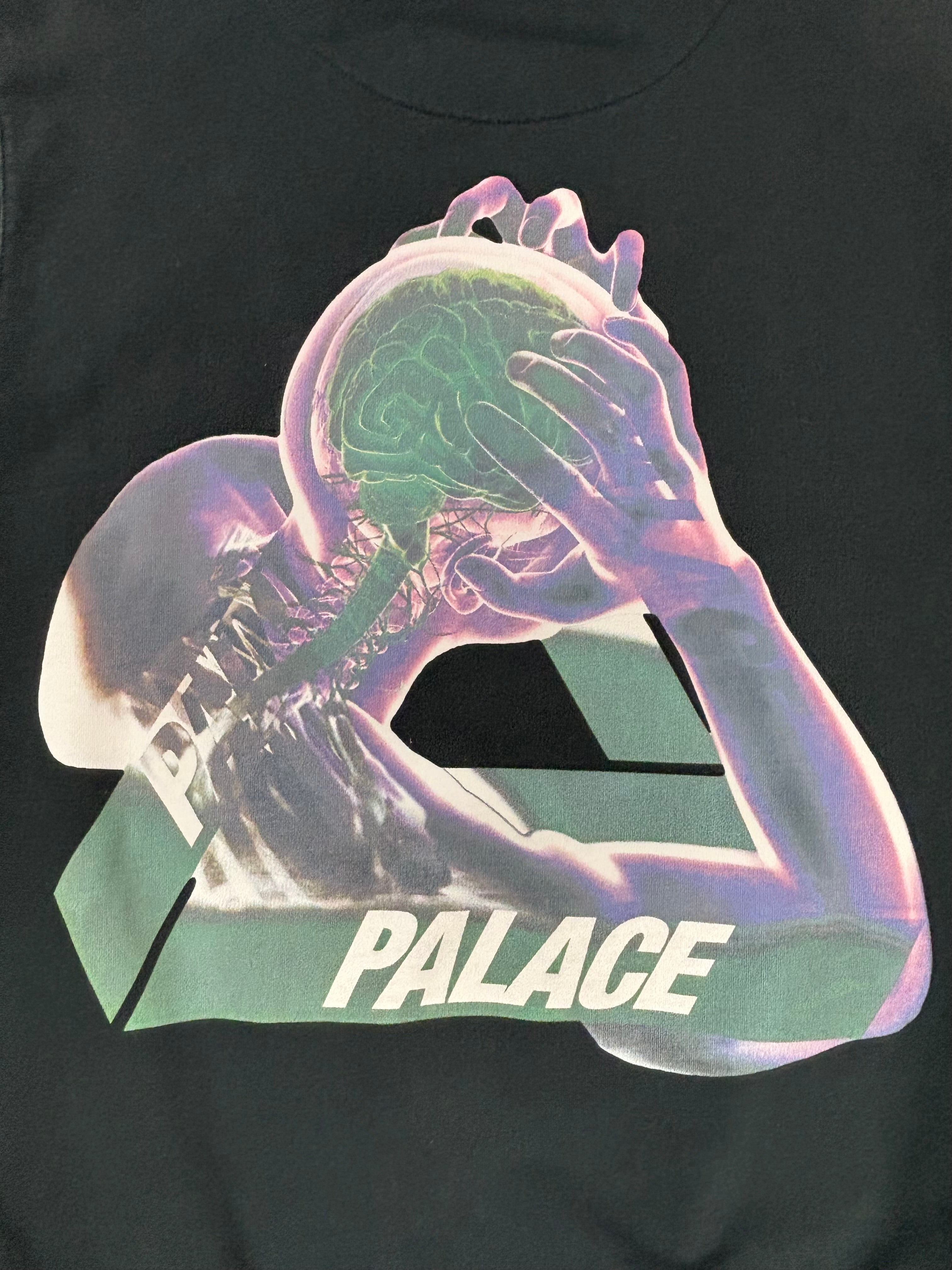 PALACE TRI GAINE HOODIE (M)