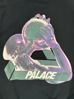 Lade das Bild in den Galerie-Viewer, PALACE TRI GAINE HOODIE (M)
