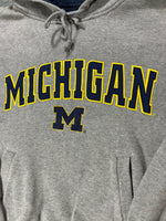 Lade das Bild in den Galerie-Viewer, CHAMPS MICHIGAN EMBROIDERED HOODIE (XS)
