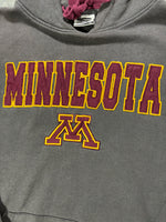 Lade das Bild in den Galerie-Viewer, MINNESOTA EMBROIDERED HOODIE (M)
